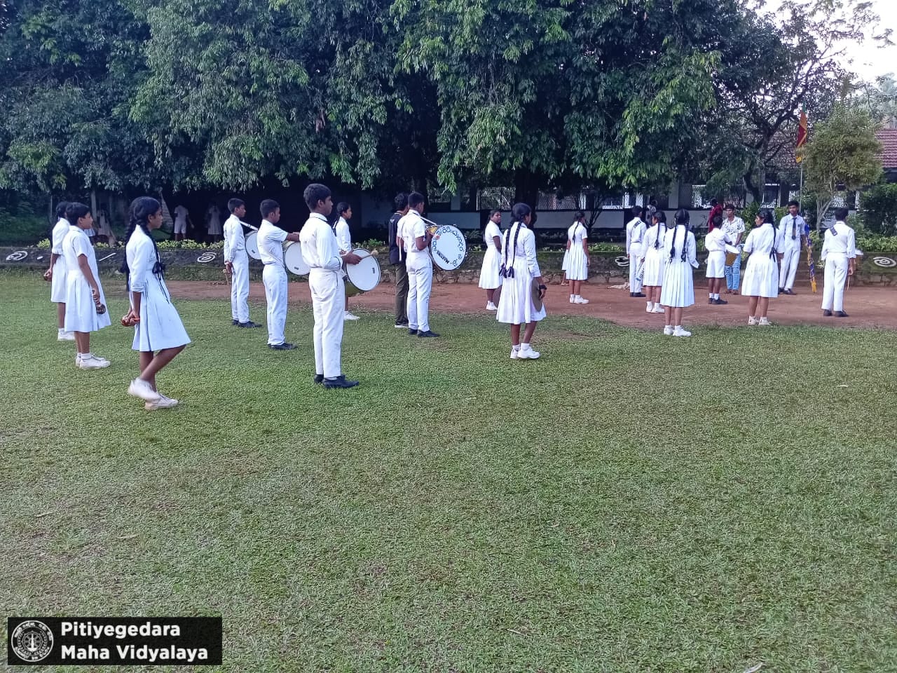 School Cover