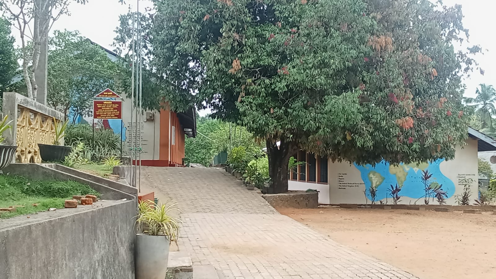 School Cover