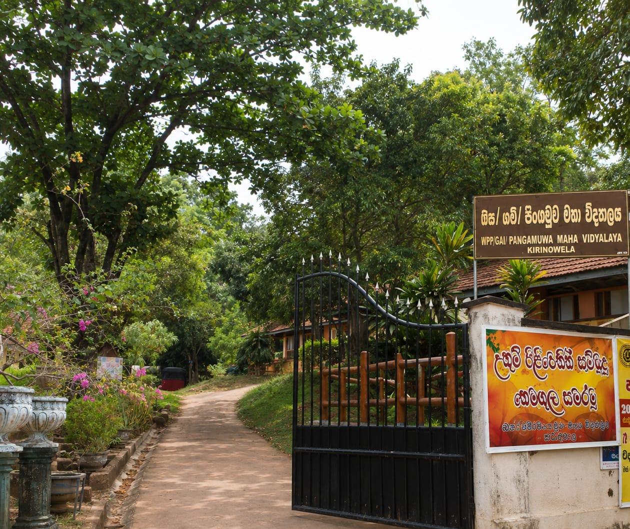 School Cover