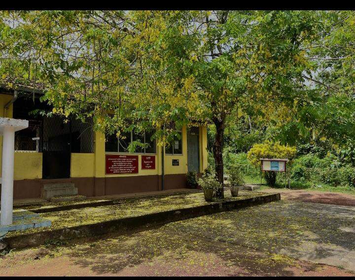 School Cover