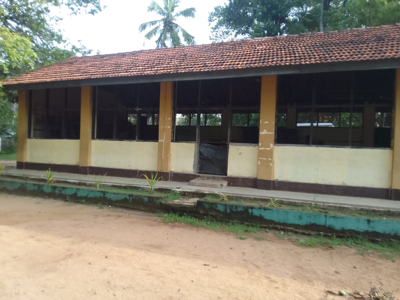 School Cover