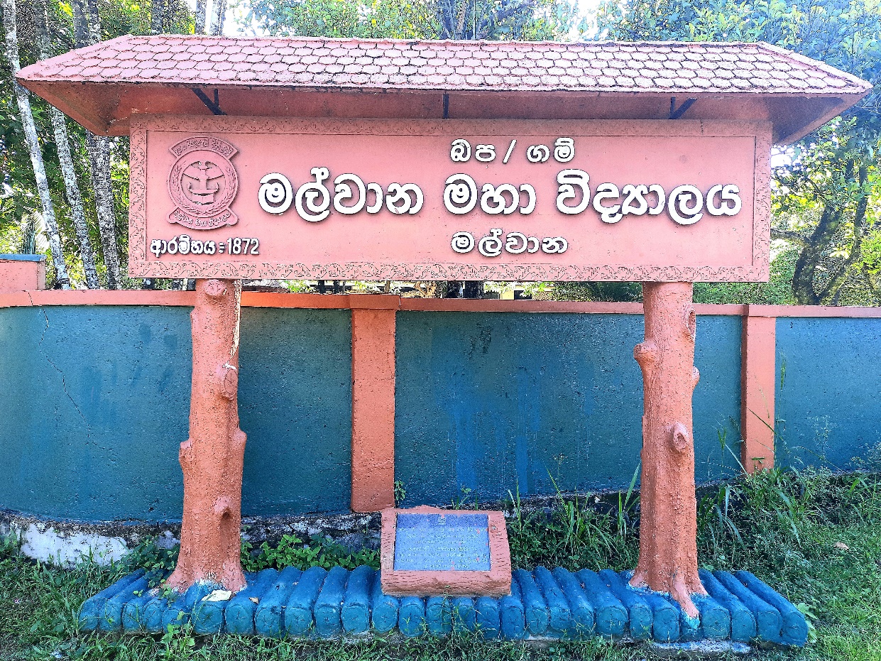 School Cover