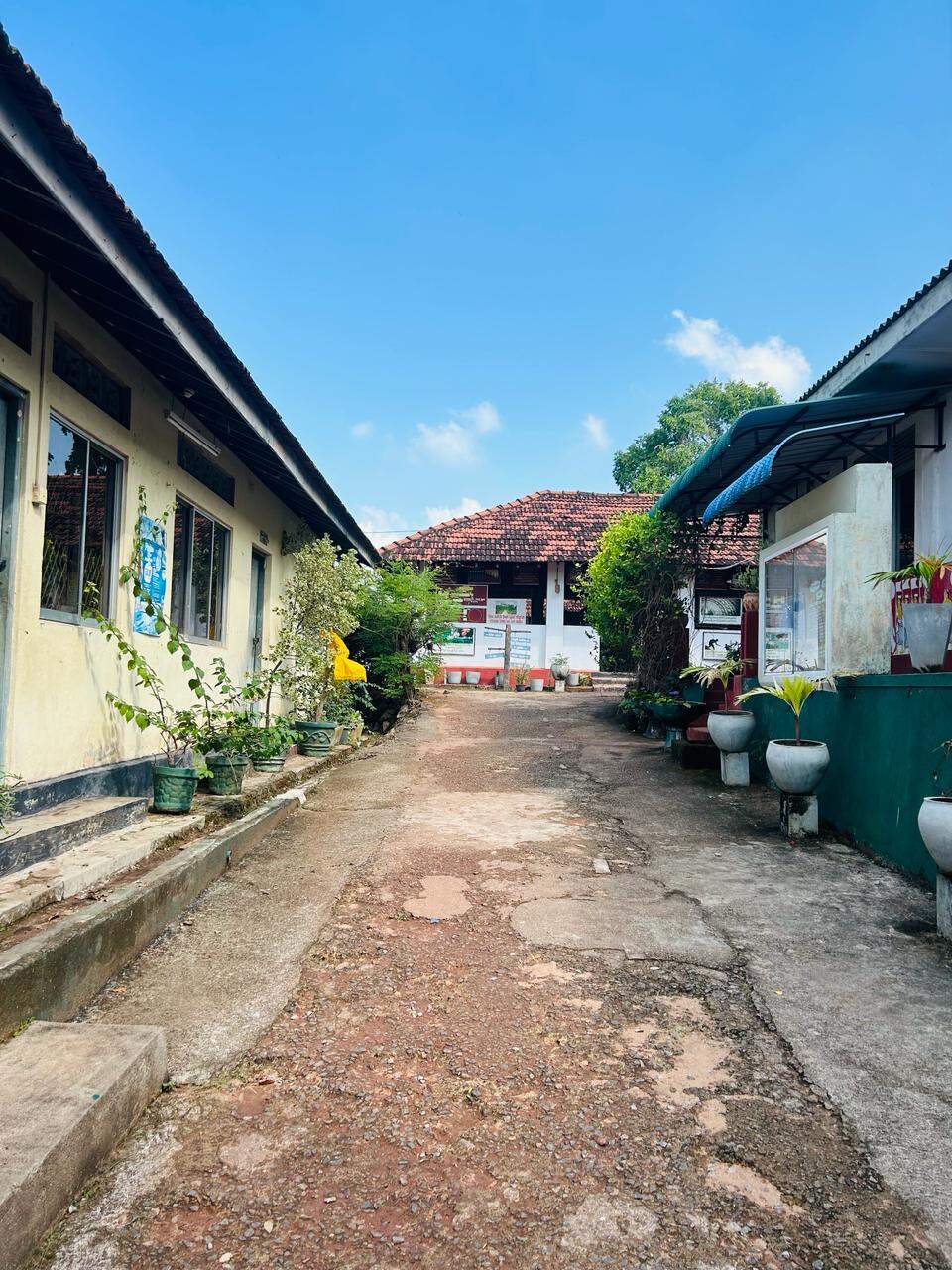 School Cover