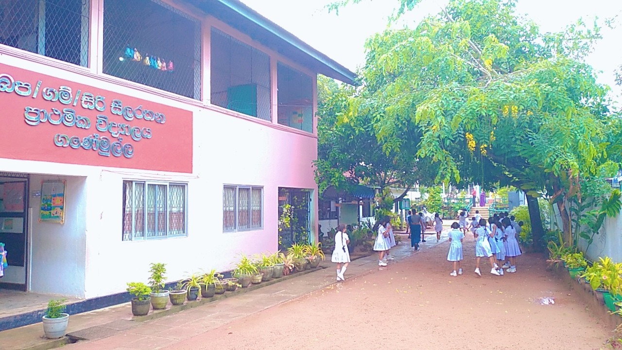 School Cover
