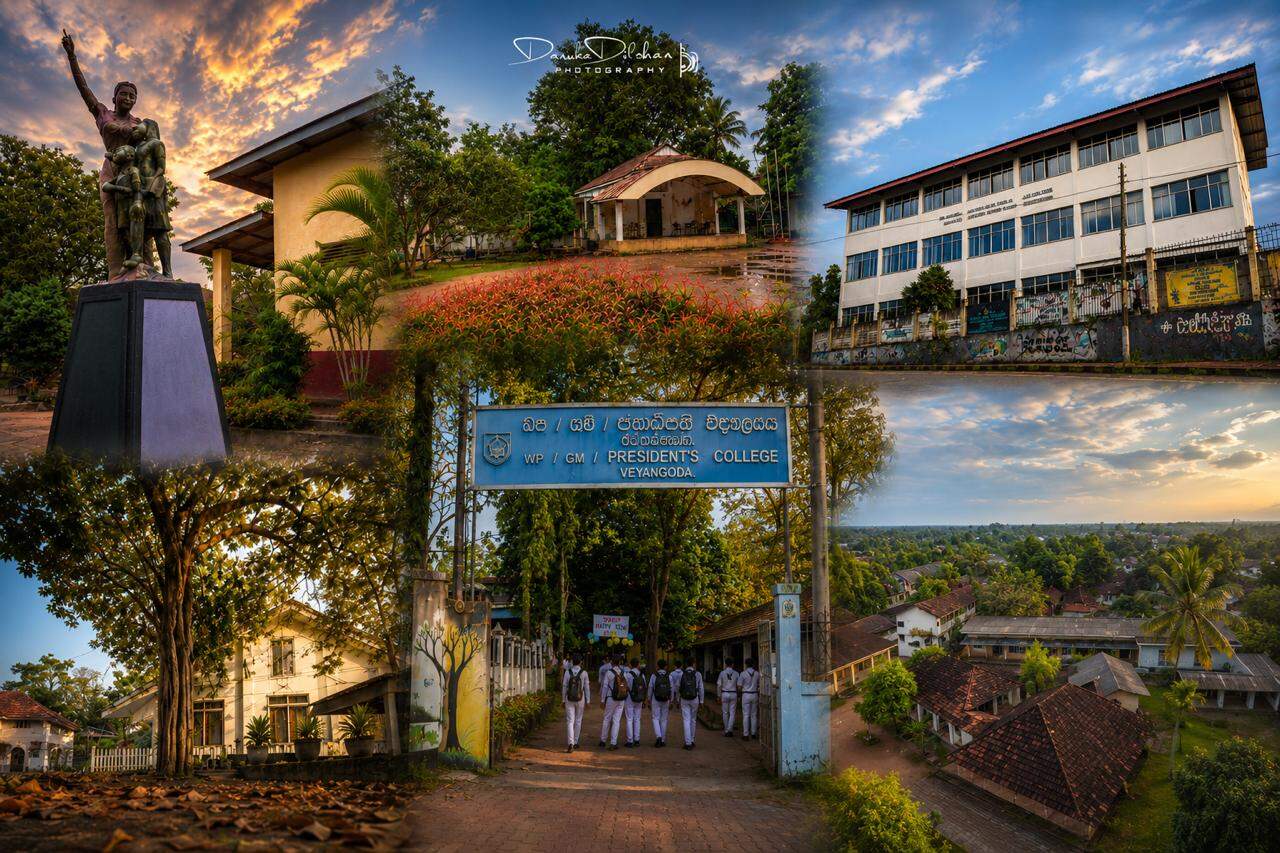 School Cover