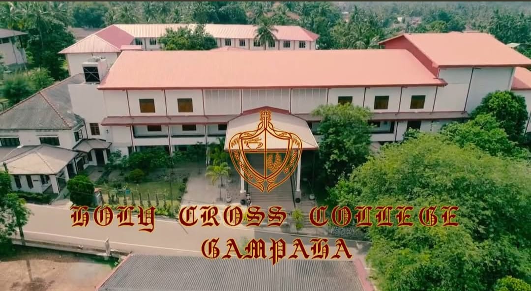 School Cover