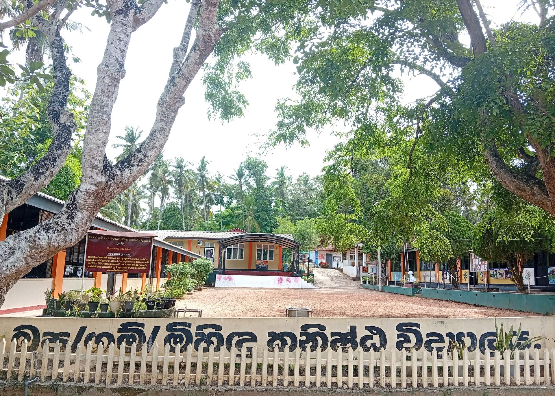 School Cover