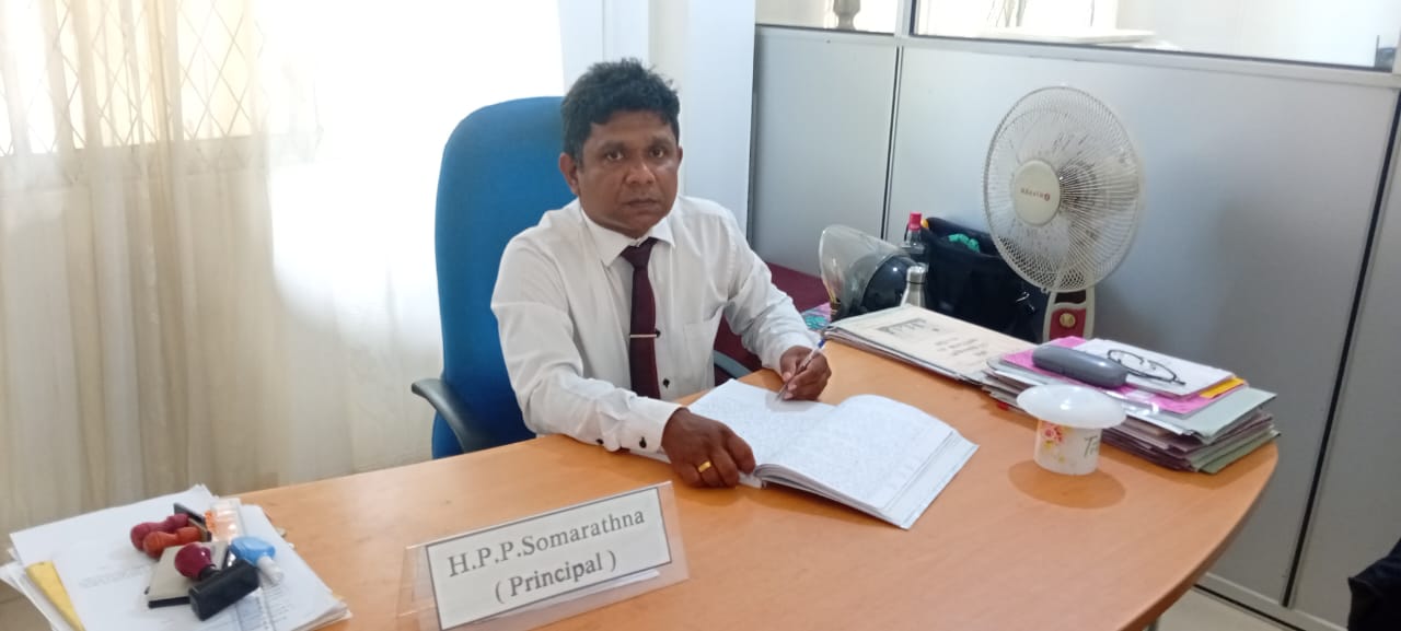 School Principal