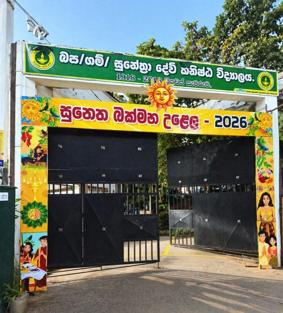 School Cover